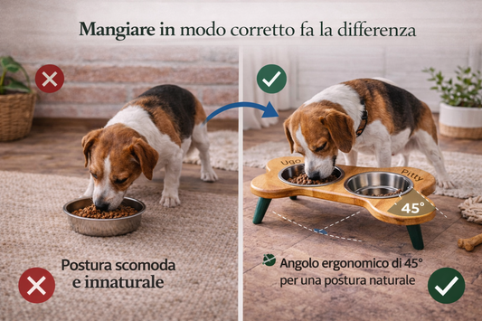 Porta ciotole a forma di osso – pratico e di design