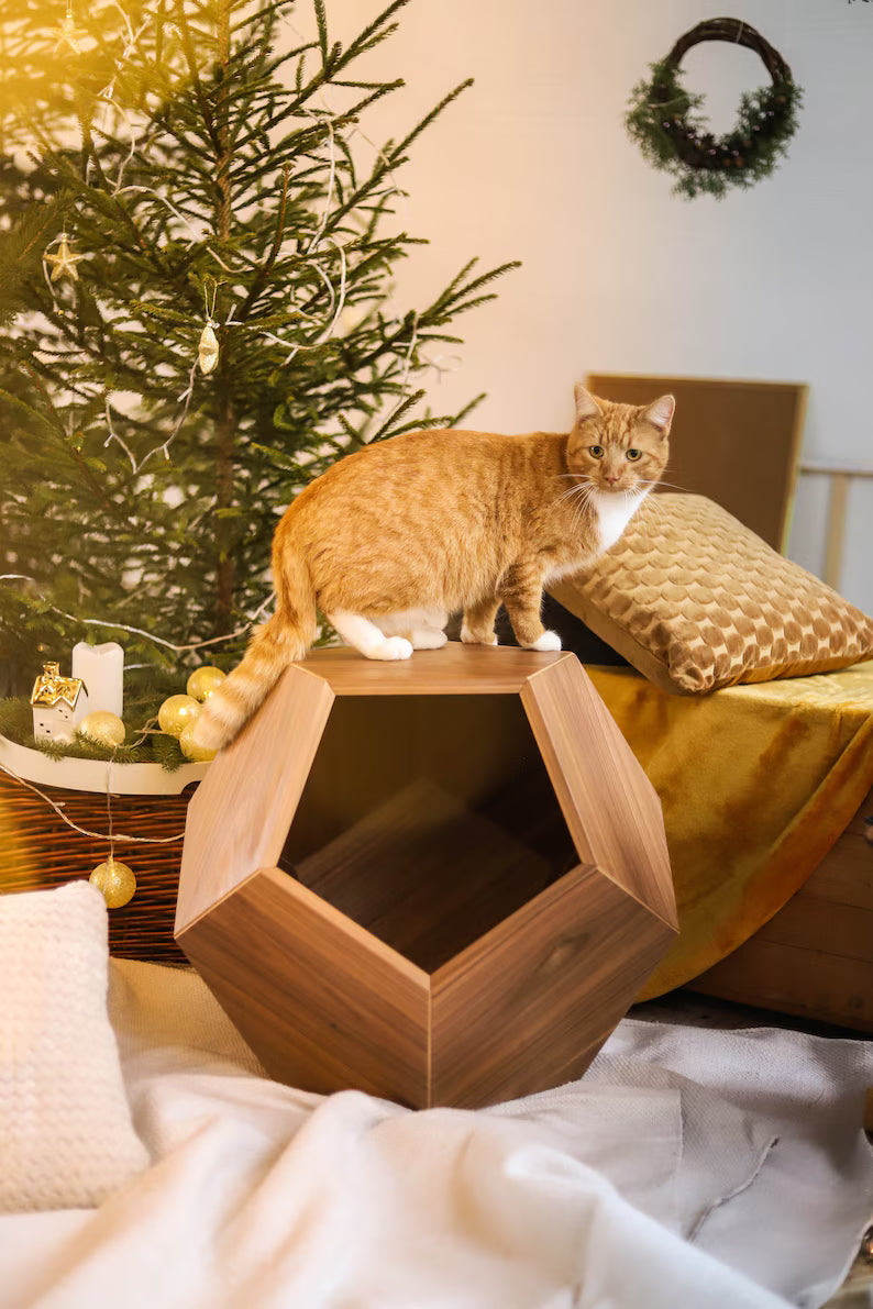 PROVA VARIABILE Cuccia Esagonale